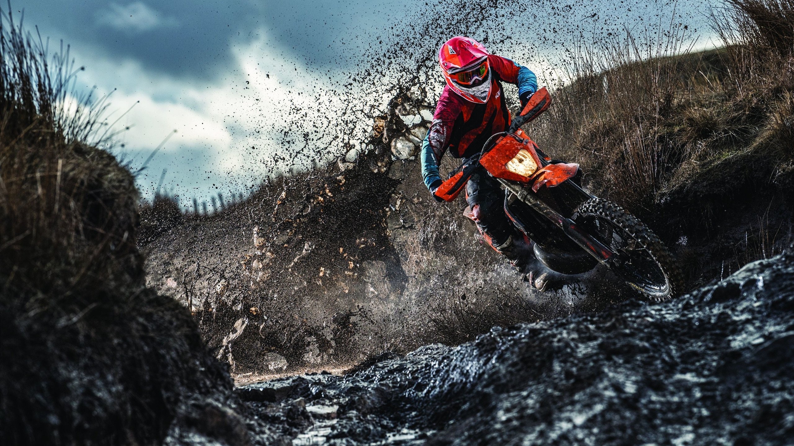 “家庭健康计划发布会+亲子趣味赛”