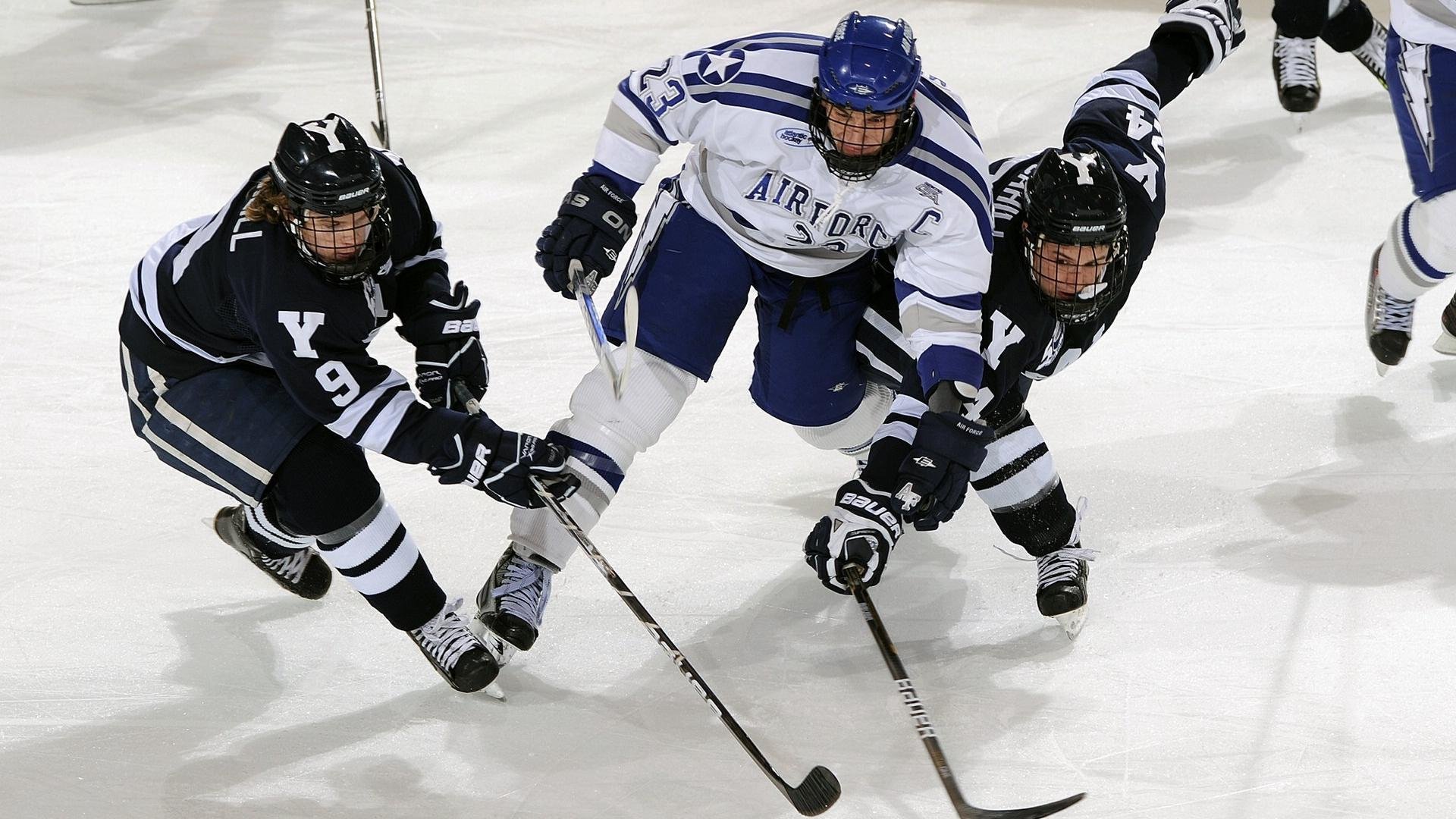 体育冠军荣耀时刻